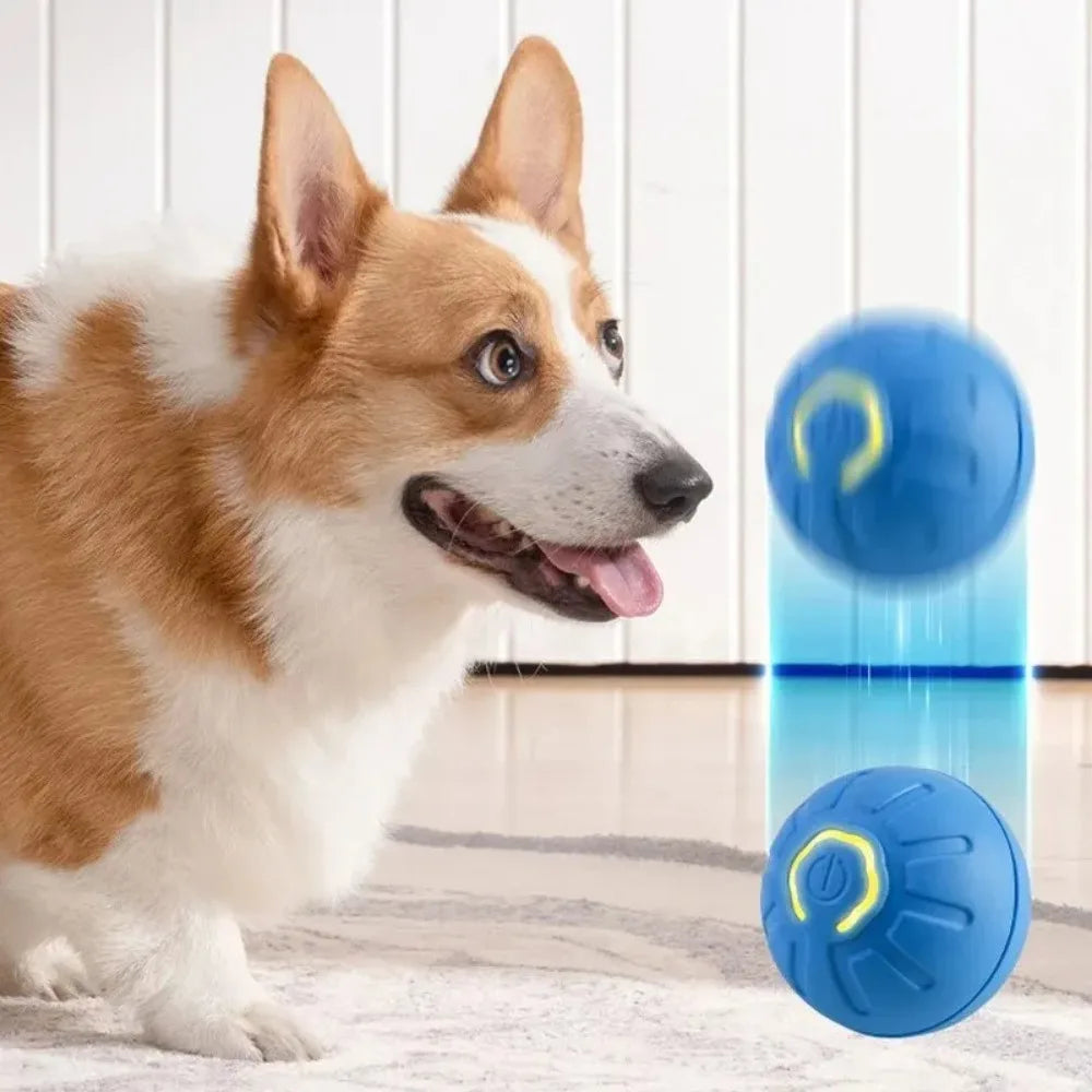 1pc Automatic Moving Dog Toy Ball Smart USB Jumping Rotating Interactive Dog Chew Toy Ball for Puppy Ball Toys