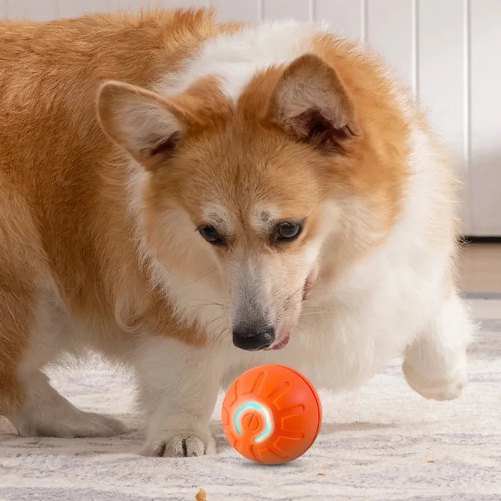 1pc Automatic Moving Dog Toy Ball Smart USB Jumping Rotating Interactive Dog Chew Toy Ball for Puppy Ball Toys