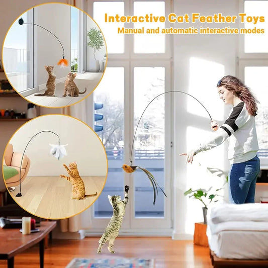 Cat Feather Toys Teaser Feather Wand Interactive Toys Cat Toys With Super Suction Cup Removable 3PCS Feather Replacement Toy