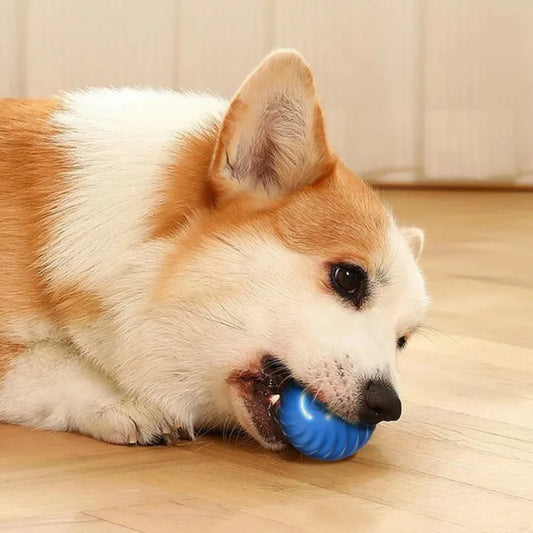 1pc Automatic Moving Dog Toy Ball Smart USB Jumping Rotating Interactive Dog Chew Toy Ball for Puppy Ball Toys